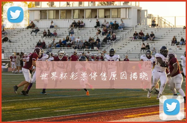 世界杯彩票停售原因揭晓
