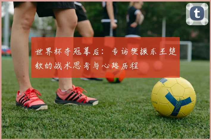 世界杯夺冠幕后：专访樊振东王楚钦的战术思考与心路历程