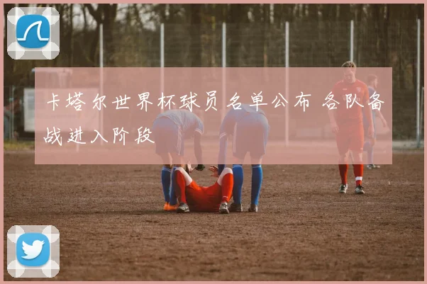 卡塔尔世界杯球员名单公布 各队备战进入阶段