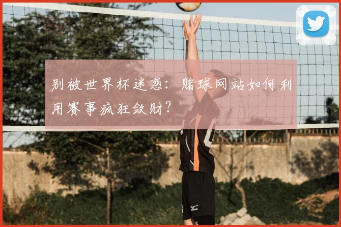 别被世界杯迷惑：赌球网站如何利用赛事疯狂敛财？