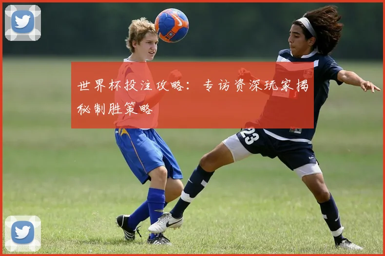 世界杯投注攻略：专访资深玩家揭秘制胜策略