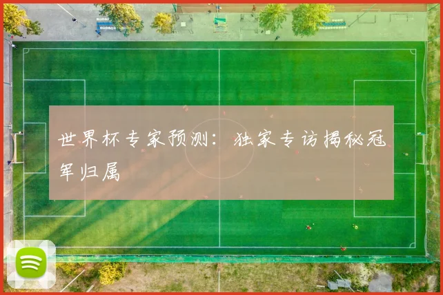 世界杯专家预测：独家专访揭秘冠军归属